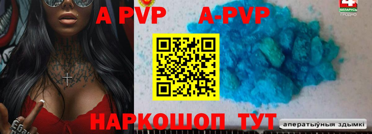 Альфа ПВП СК Тамбов