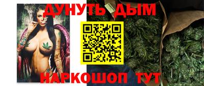 крисы Ливны