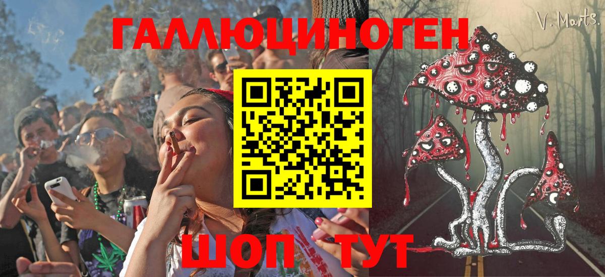 Галлюциногенные грибы Psilocybe Тамбов